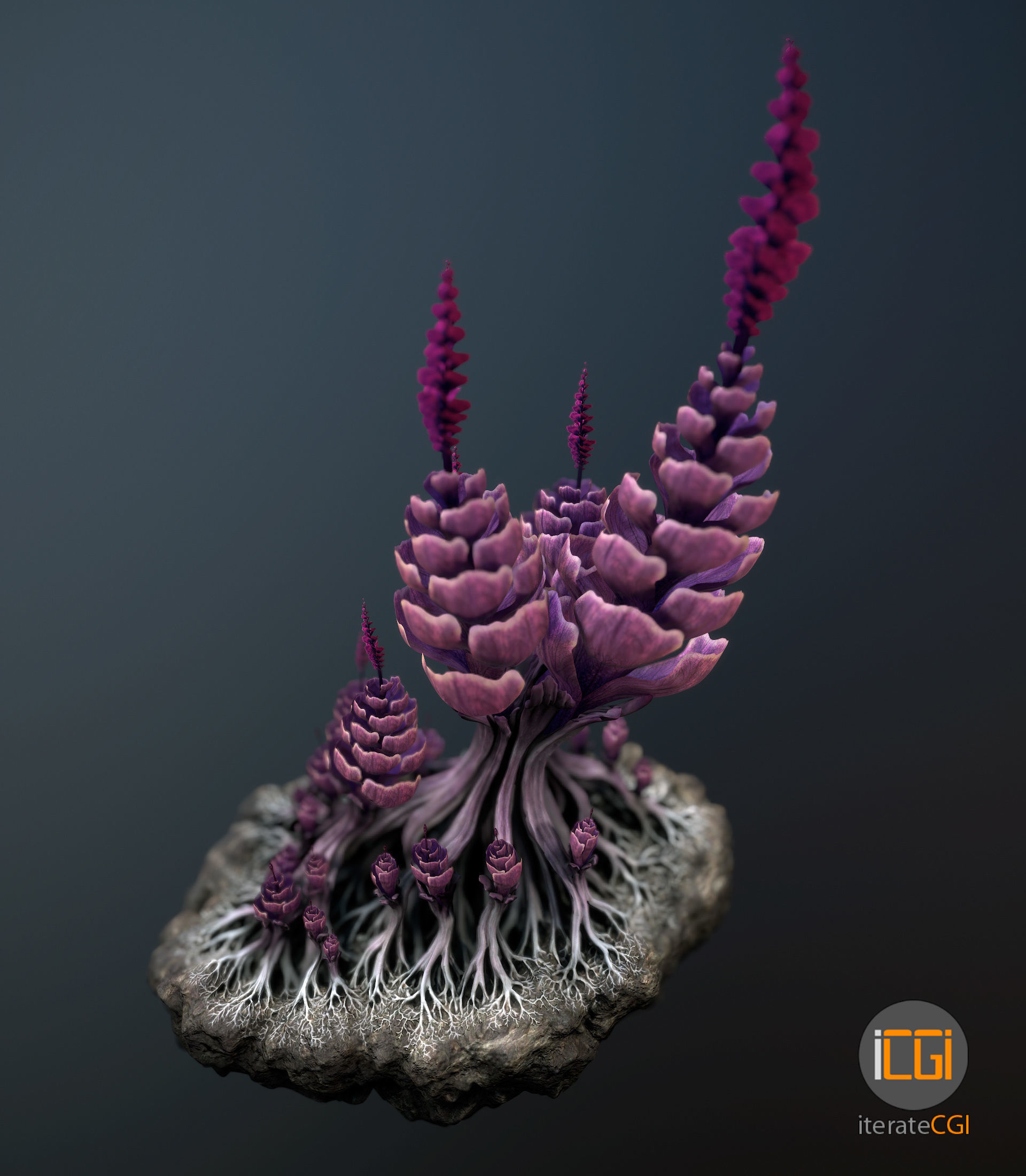 Alien plant Succulent Type 1 Low-poly 3D model_4