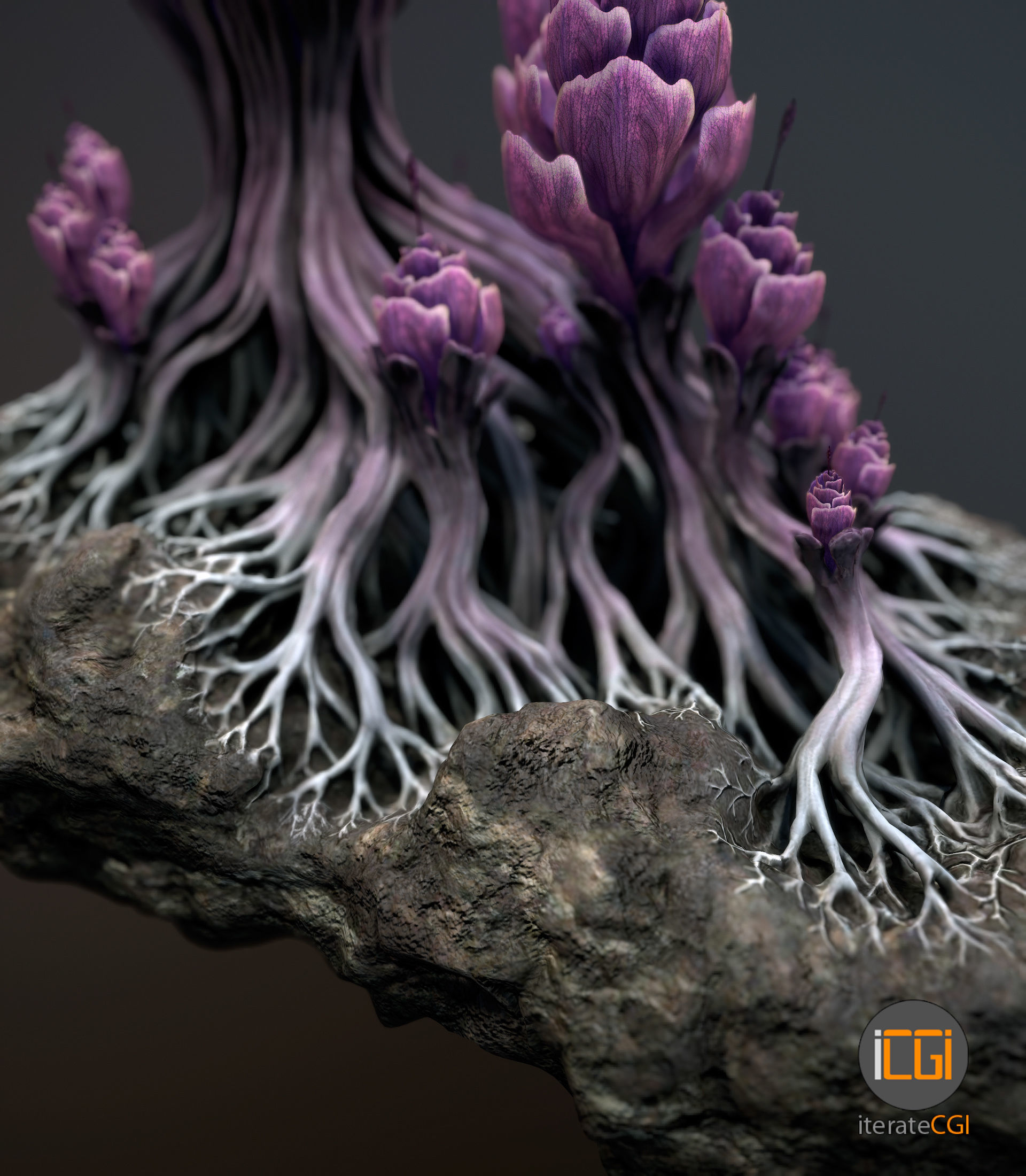 Alien plant Succulent Type 1 Low-poly 3D model_12