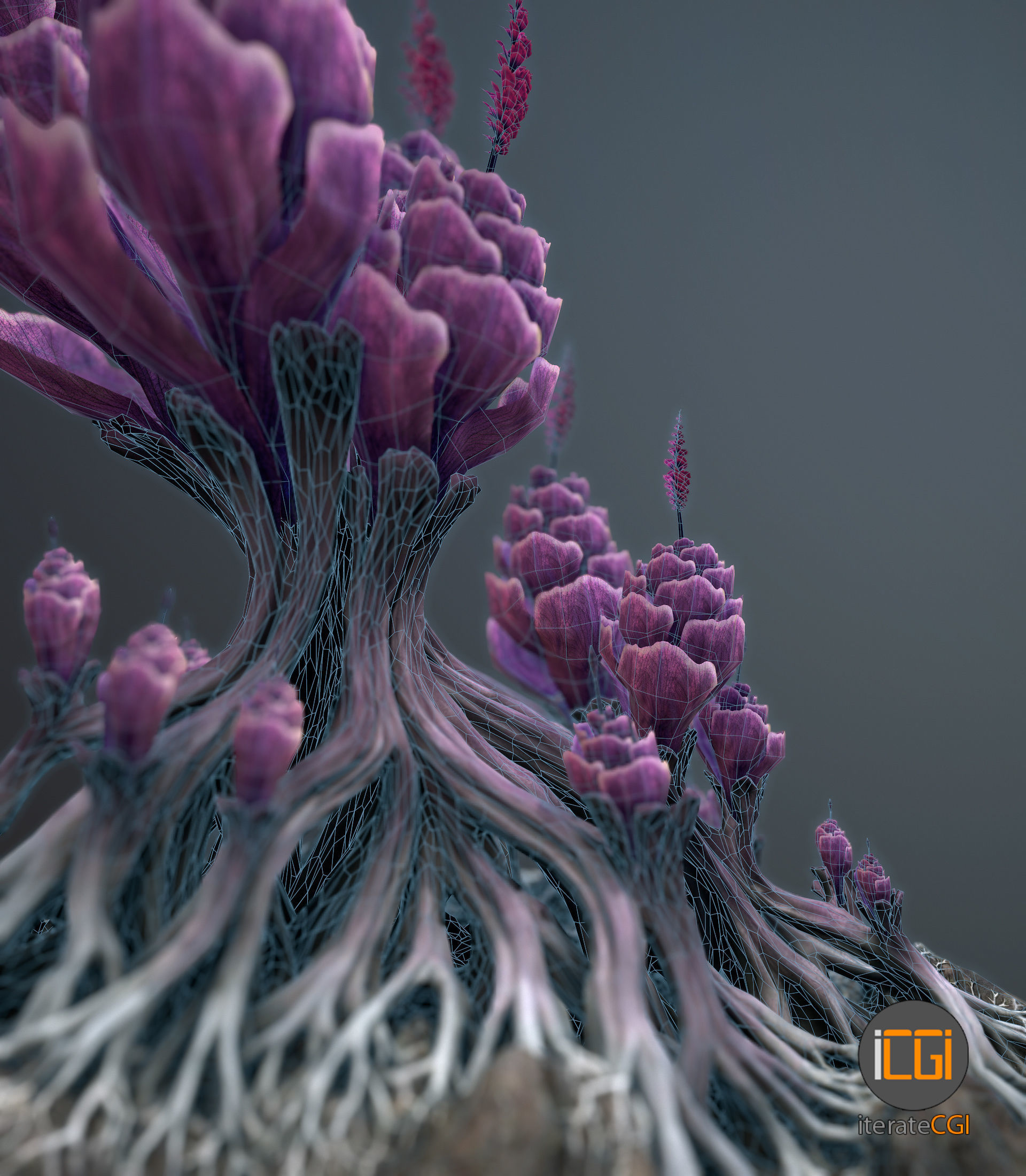 Alien plant Succulent Type 1 Low-poly 3D model_15