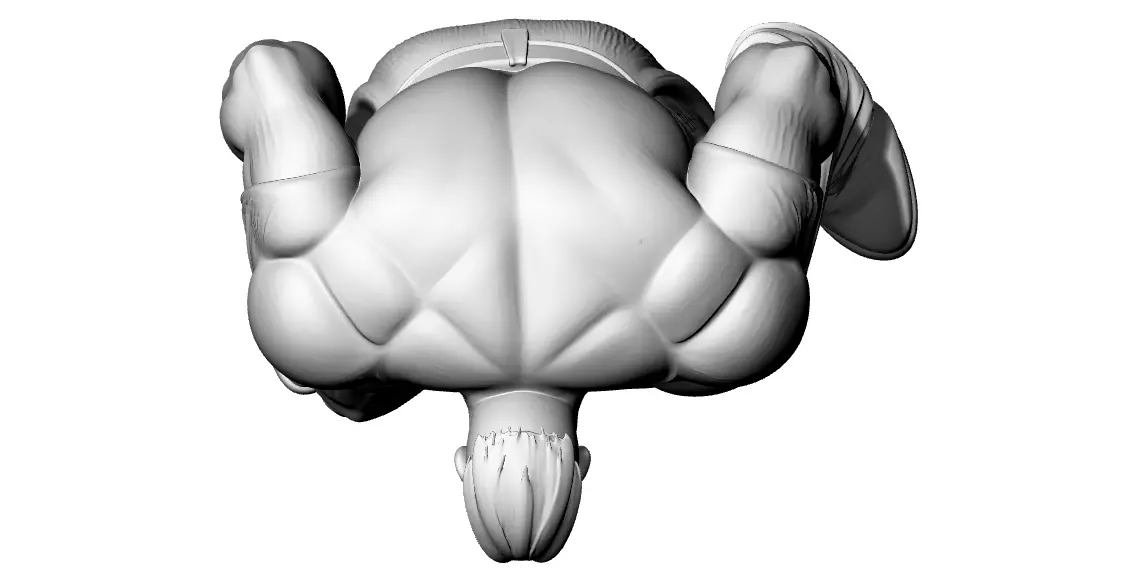 Mujrim 3D print model_5