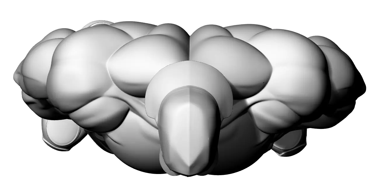 Fittness Boy Gym 3D print model_3