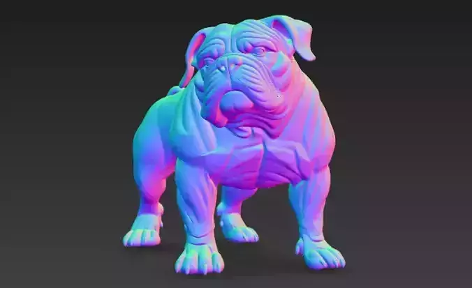 Bulldog Elegant