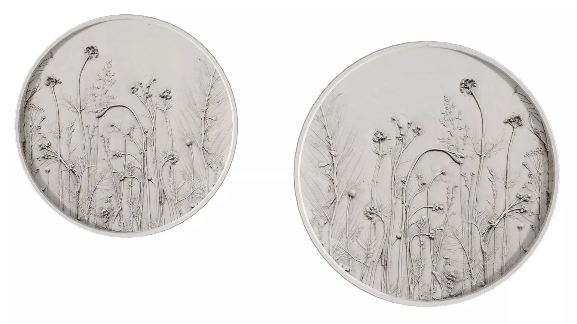 Botany Panel 3D model_2