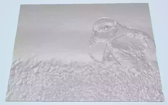 Unpopular Opinion Puffin Lithophane