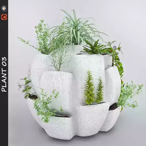 Plant planter with plants in it