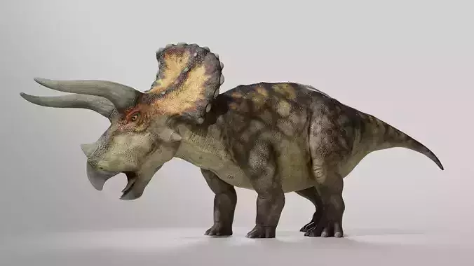 Triceratops Low poly Rig