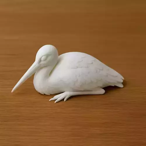 Sleeping White Stork