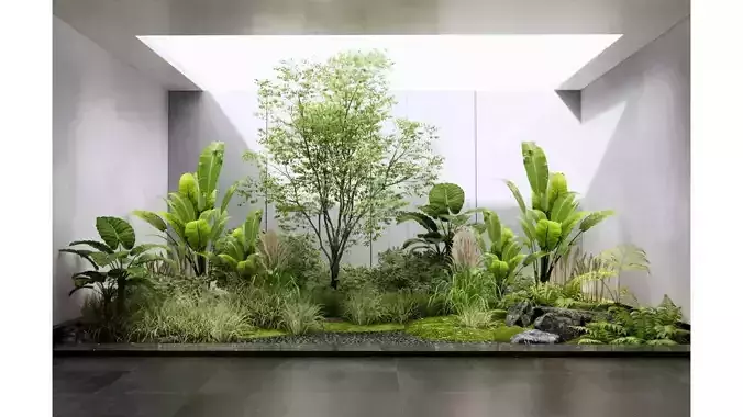  Indoor Plant Landscaping