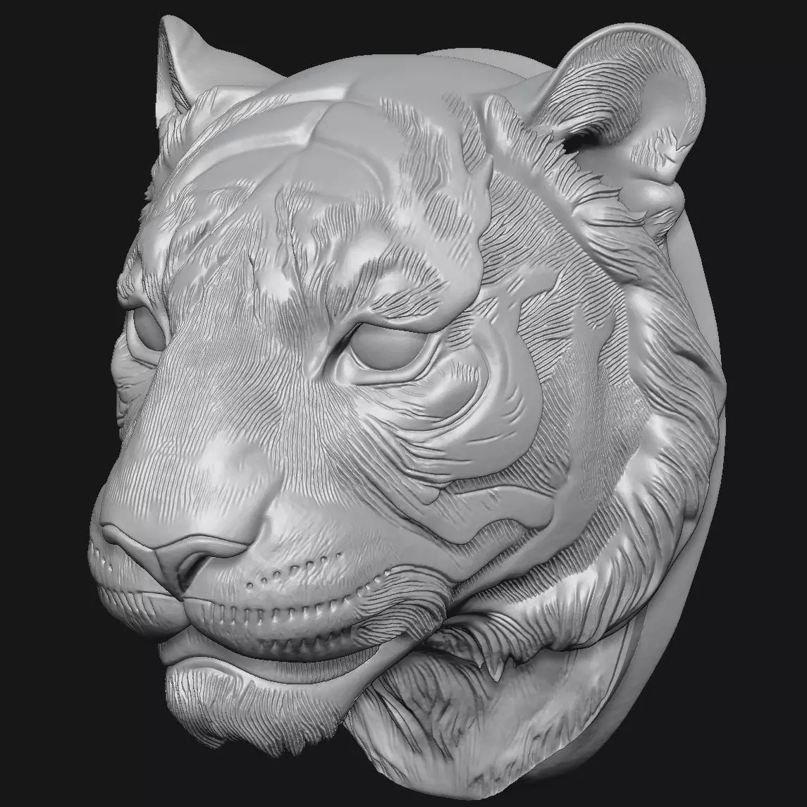 tiger 3D print model_6
