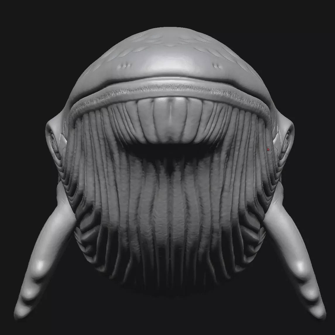 whale 3D print model_2