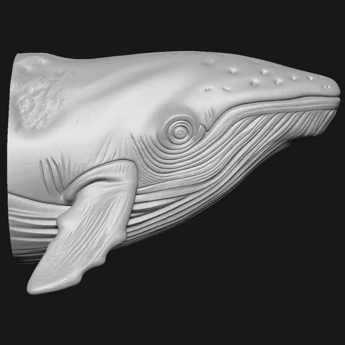 whale 3D print model_3