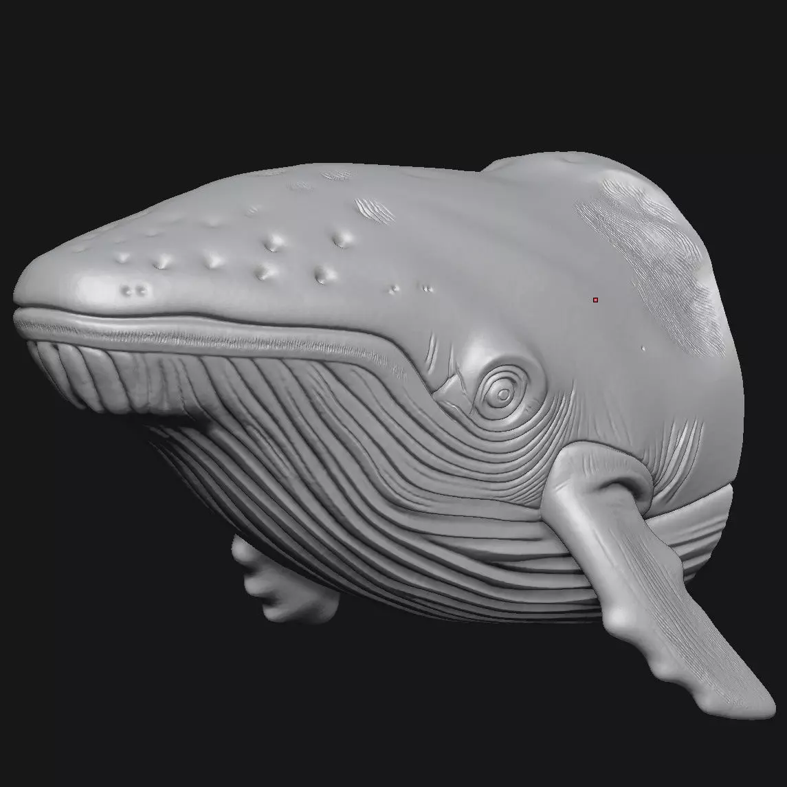 whale 3D print model_1