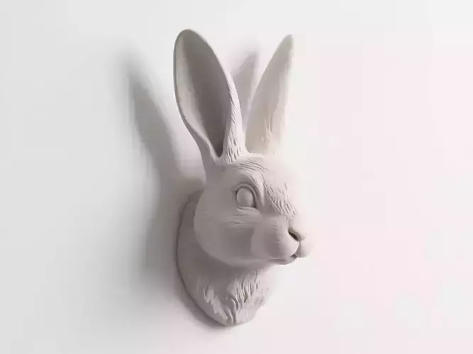 rabbit