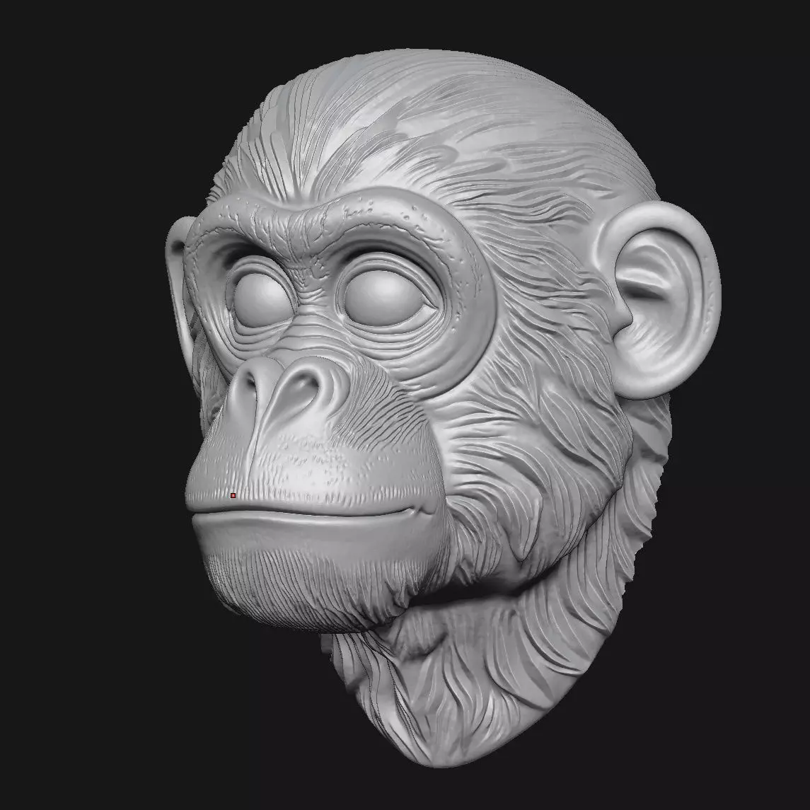 Chimpanzees 3D print model_4