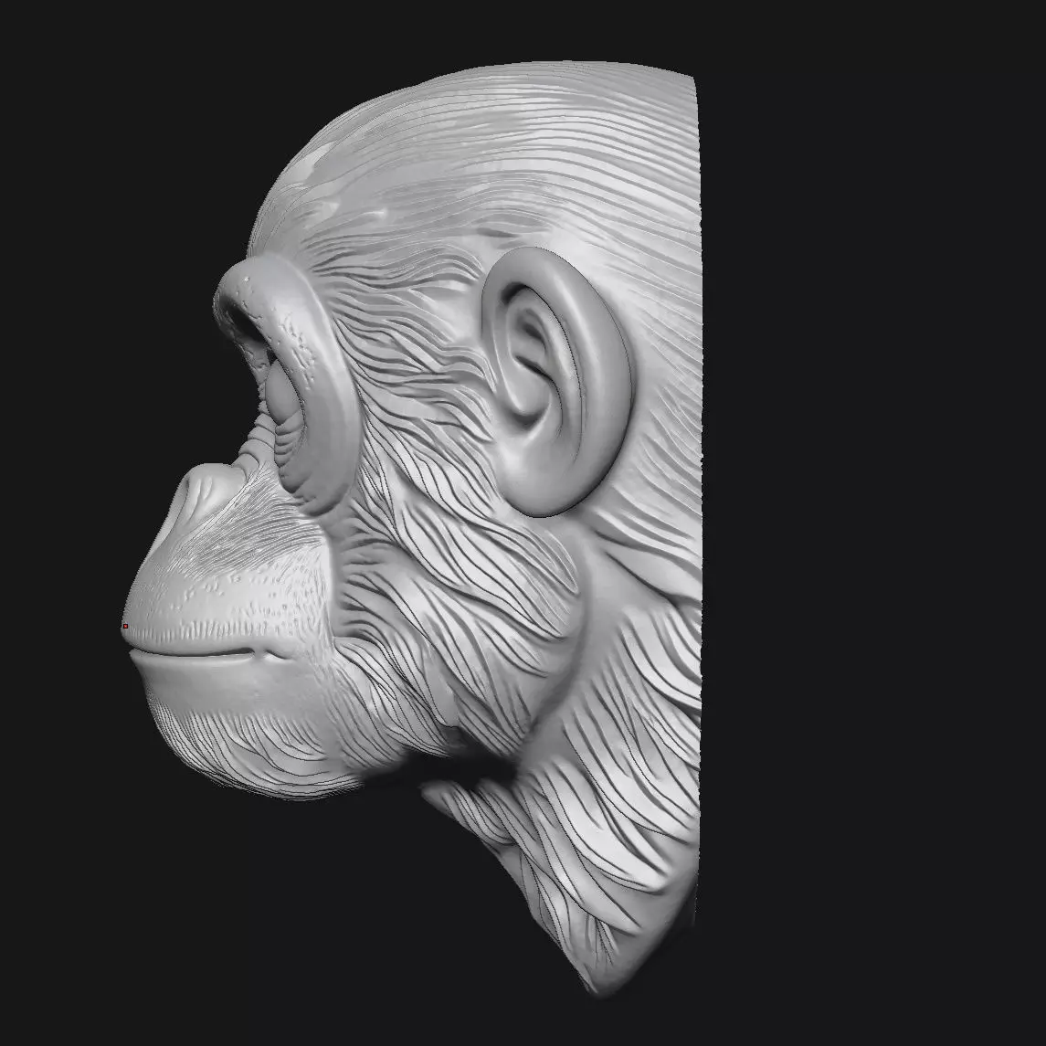 Chimpanzees 3D print model_3