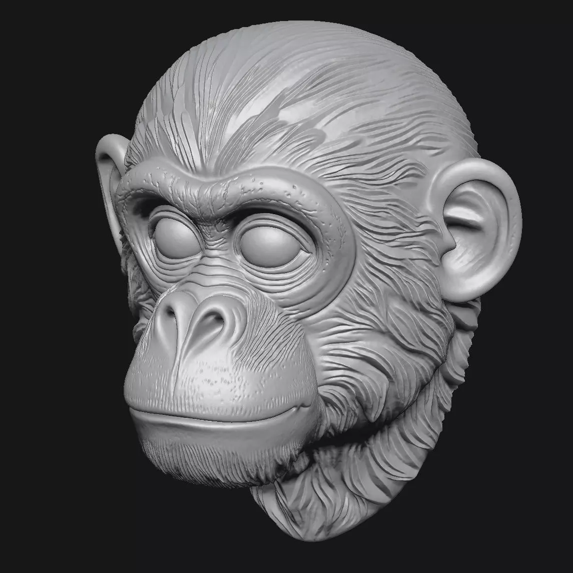 Chimpanzees 3D print model_5