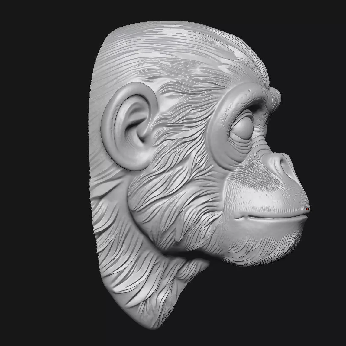 Chimpanzees 3D print model_1
