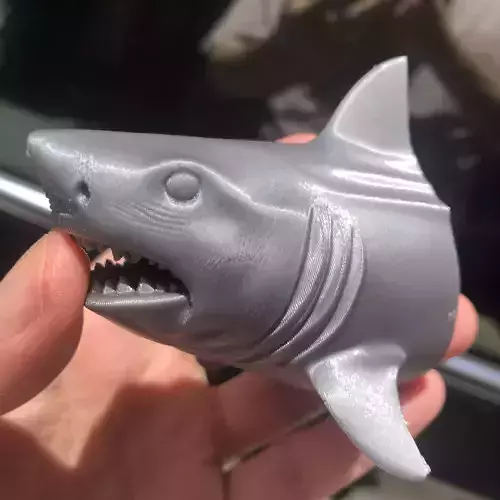 shark