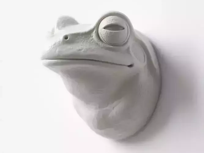 Frog sculpture