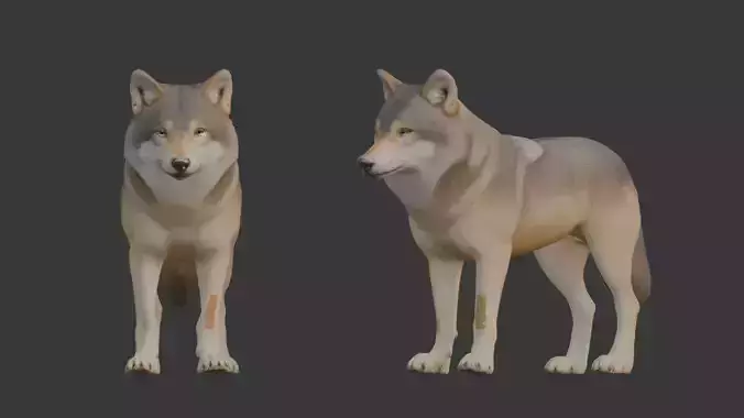 Wolf Miniature