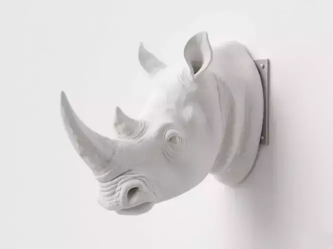 rhinoceros