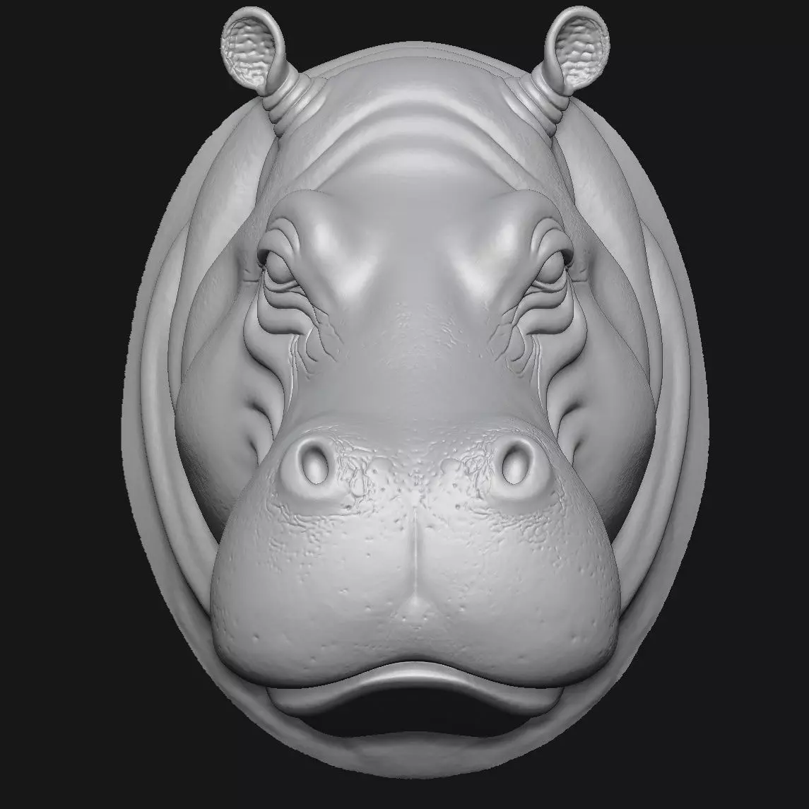Hippopotamus 3D print model_7