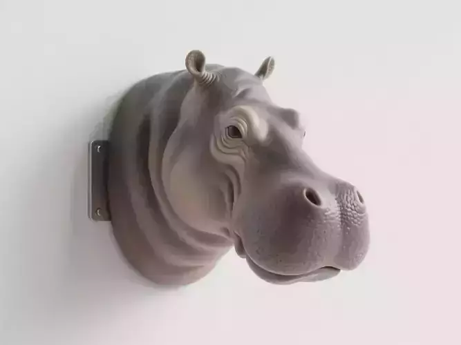 Hippopotamus