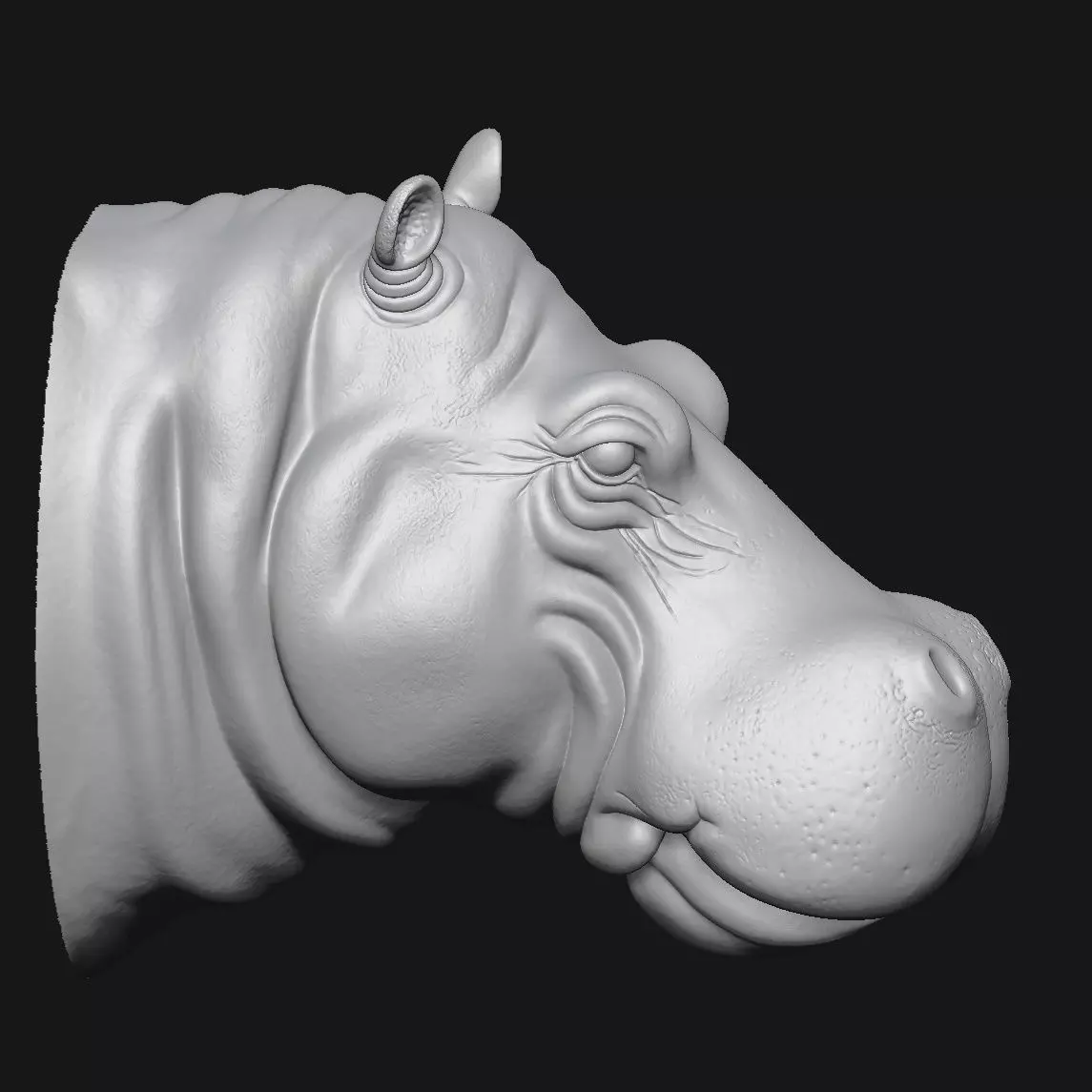 Hippopotamus 3D print model_2