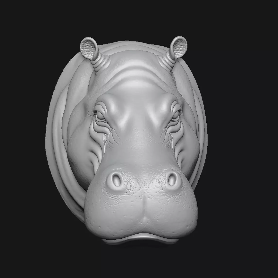 Hippopotamus 3D print model_1