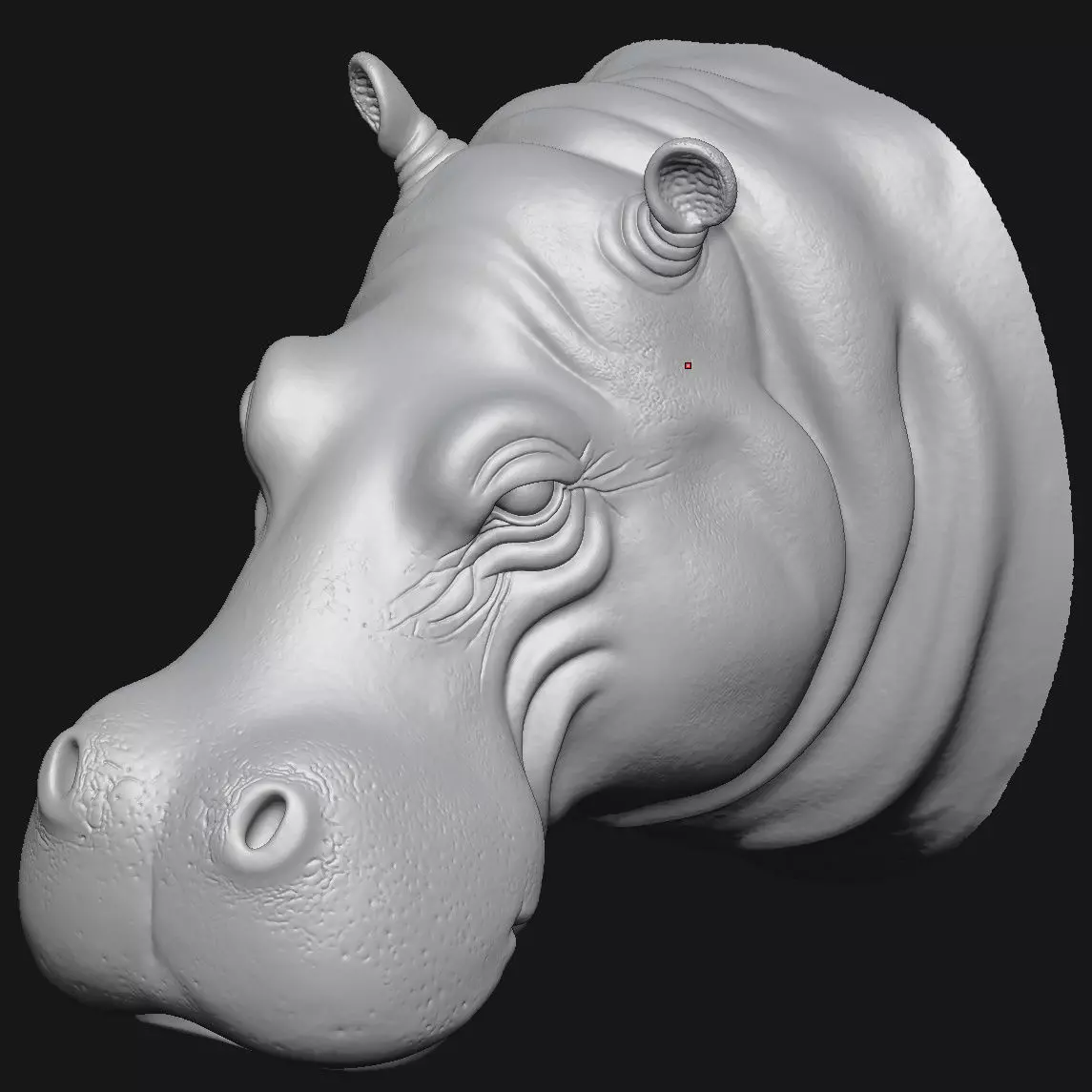 Hippopotamus 3D print model_6
