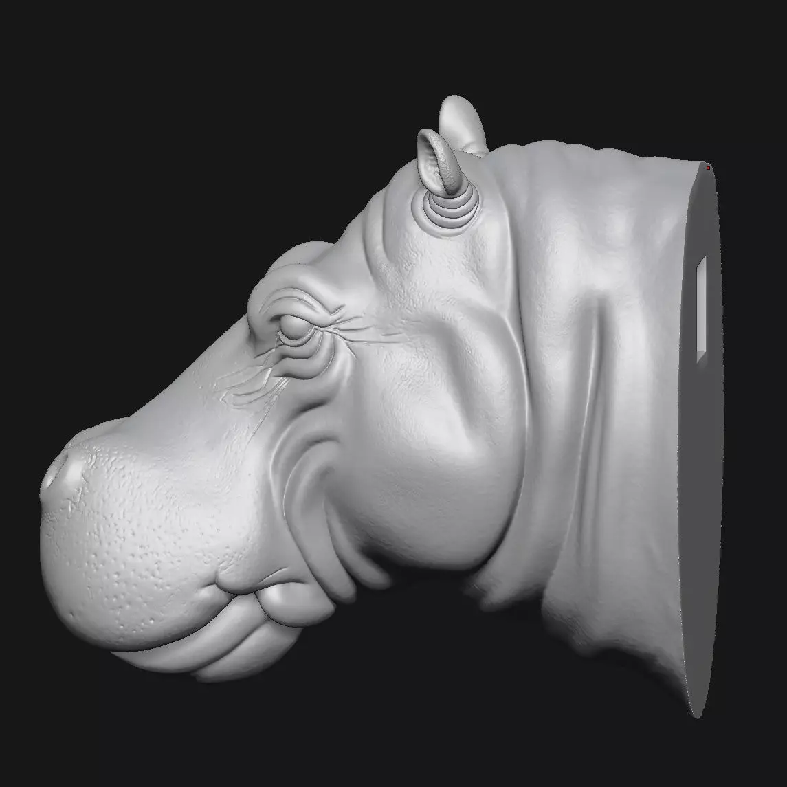 Hippopotamus 3D print model_4