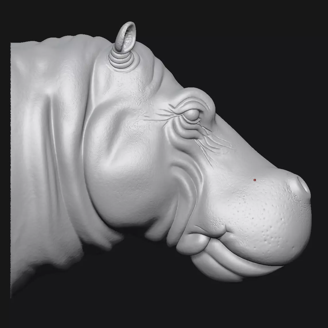 Hippopotamus 3D print model_8