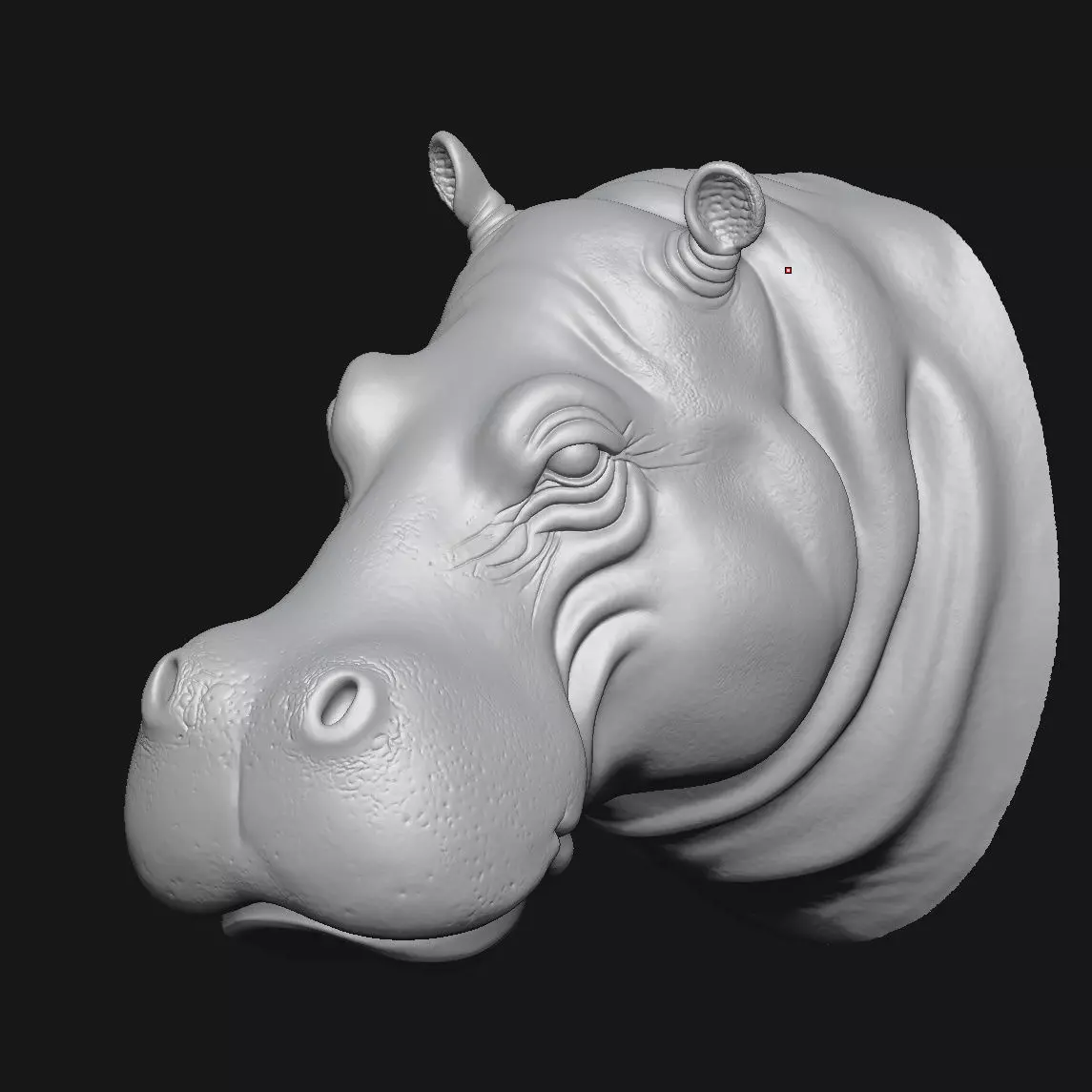 Hippopotamus 3D print model_5
