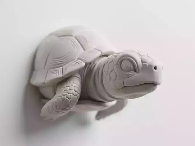turtle