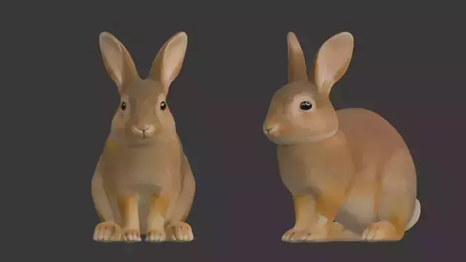 Rabbit 3D scan print