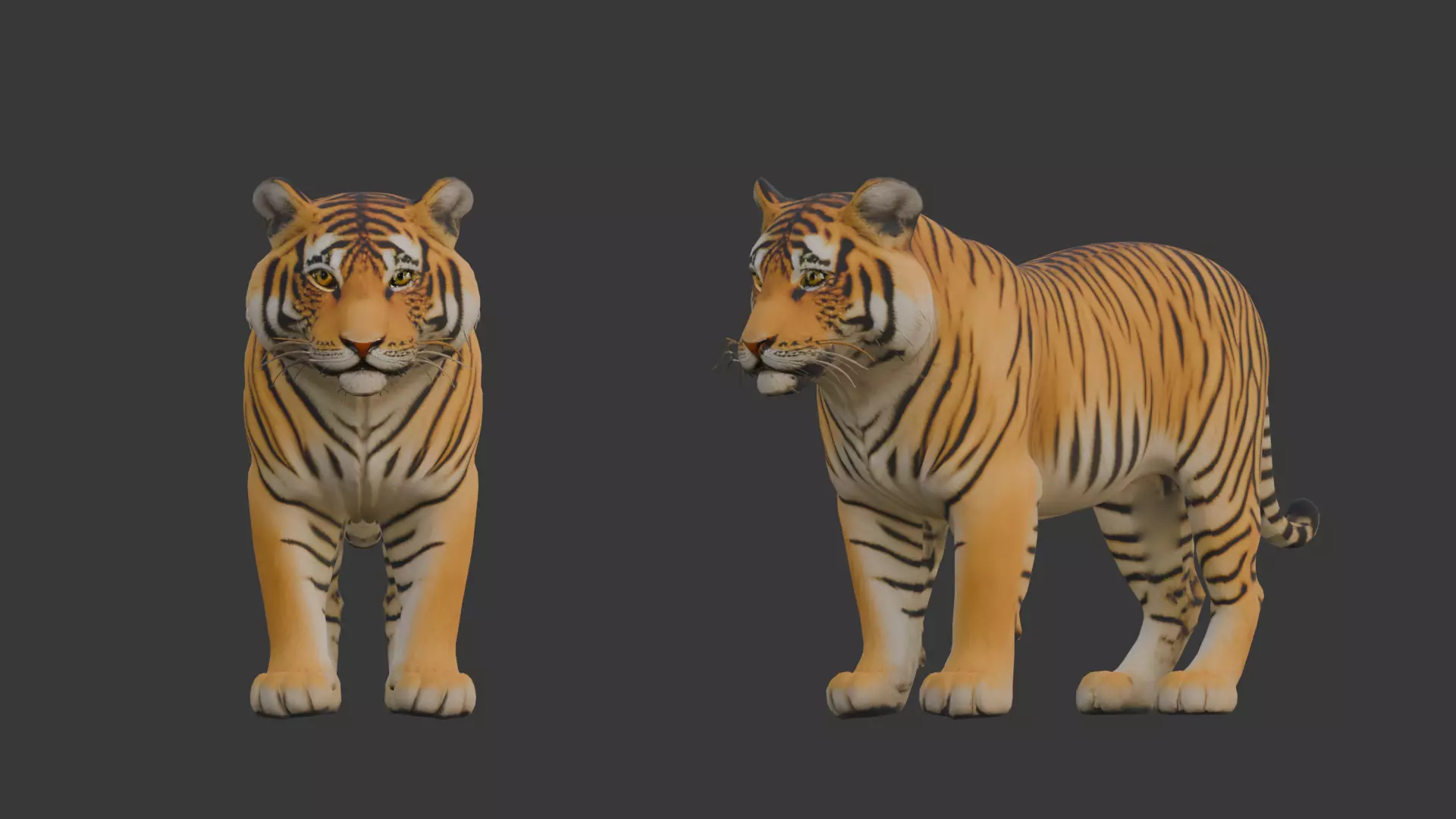 Sumatera Tiger Miniature Low-poly 3D model_0