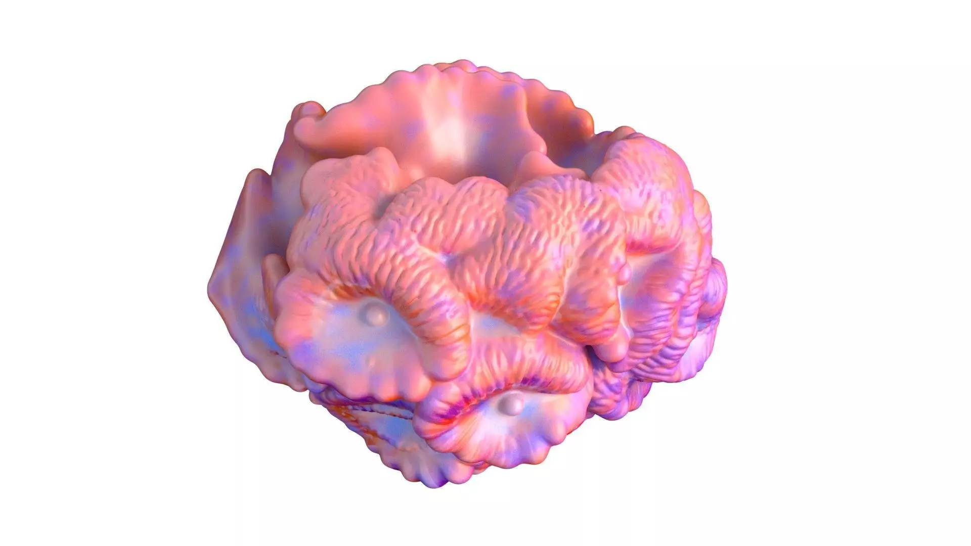 Coral Reef 17 Low-poly 3D model_1