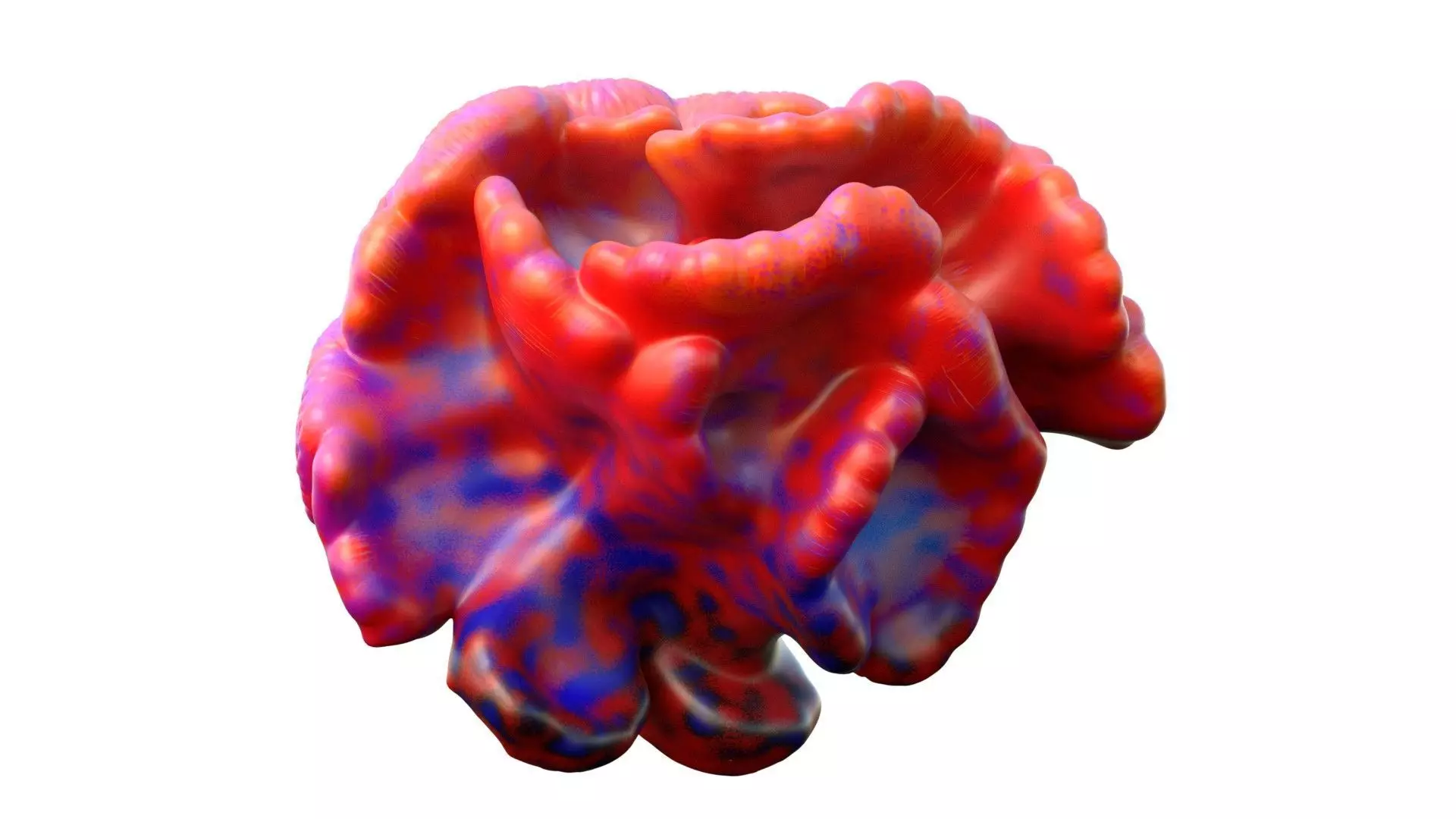 Coral Reef 17 Low-poly 3D model_3