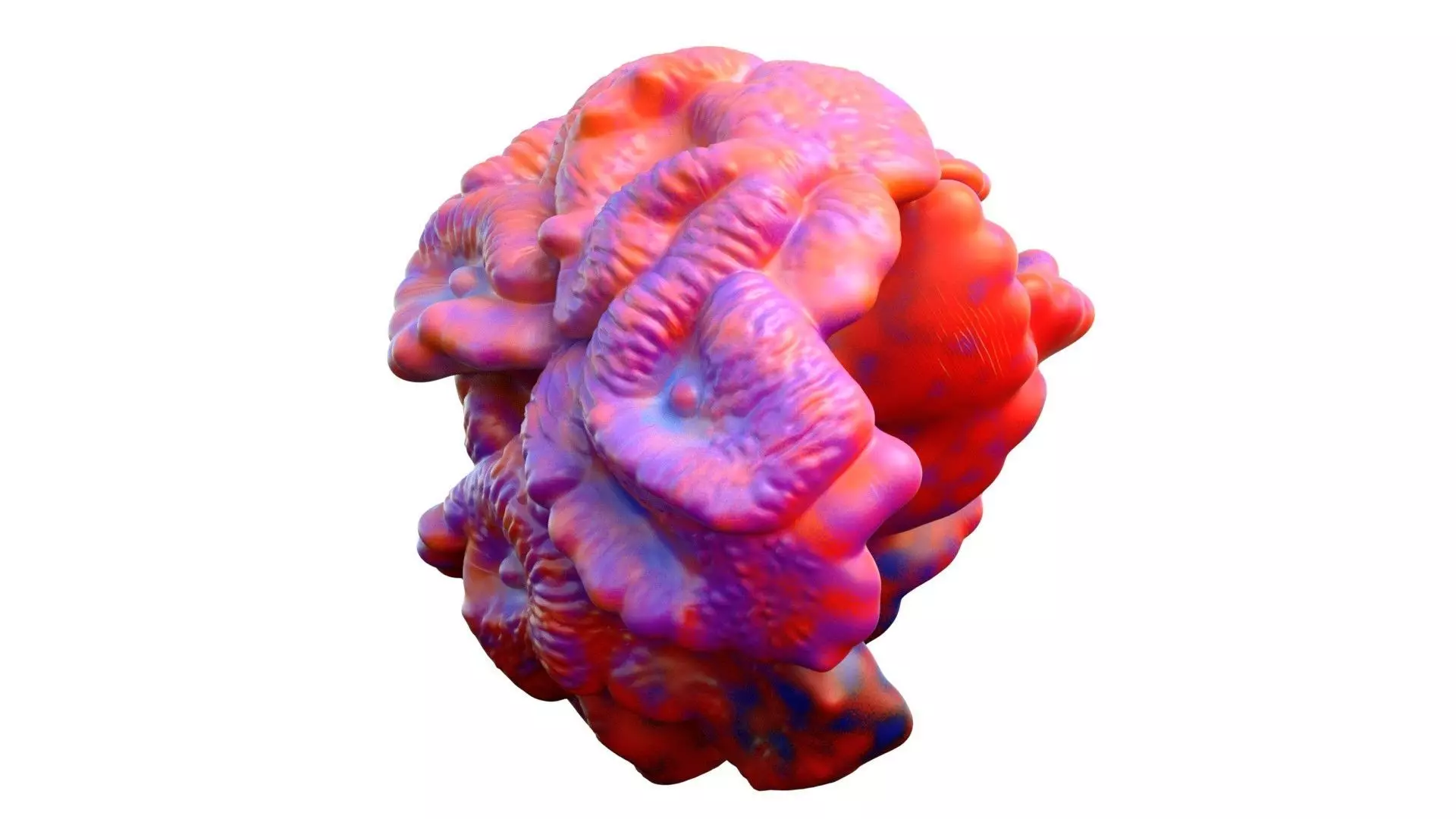 Coral Reef 17 Low-poly 3D model_4