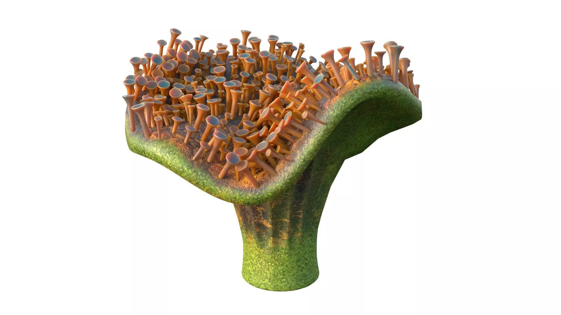 Coral Reef 29 Low-poly 3D model