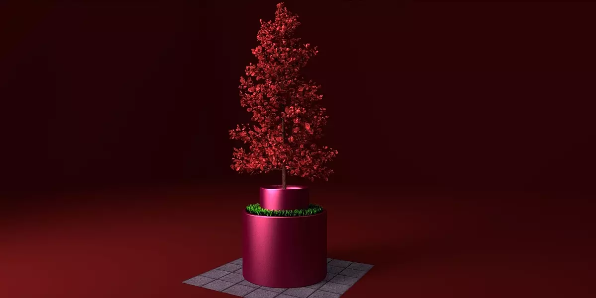 Potted young red leaved tree 1 Free low-poly 3D model_0