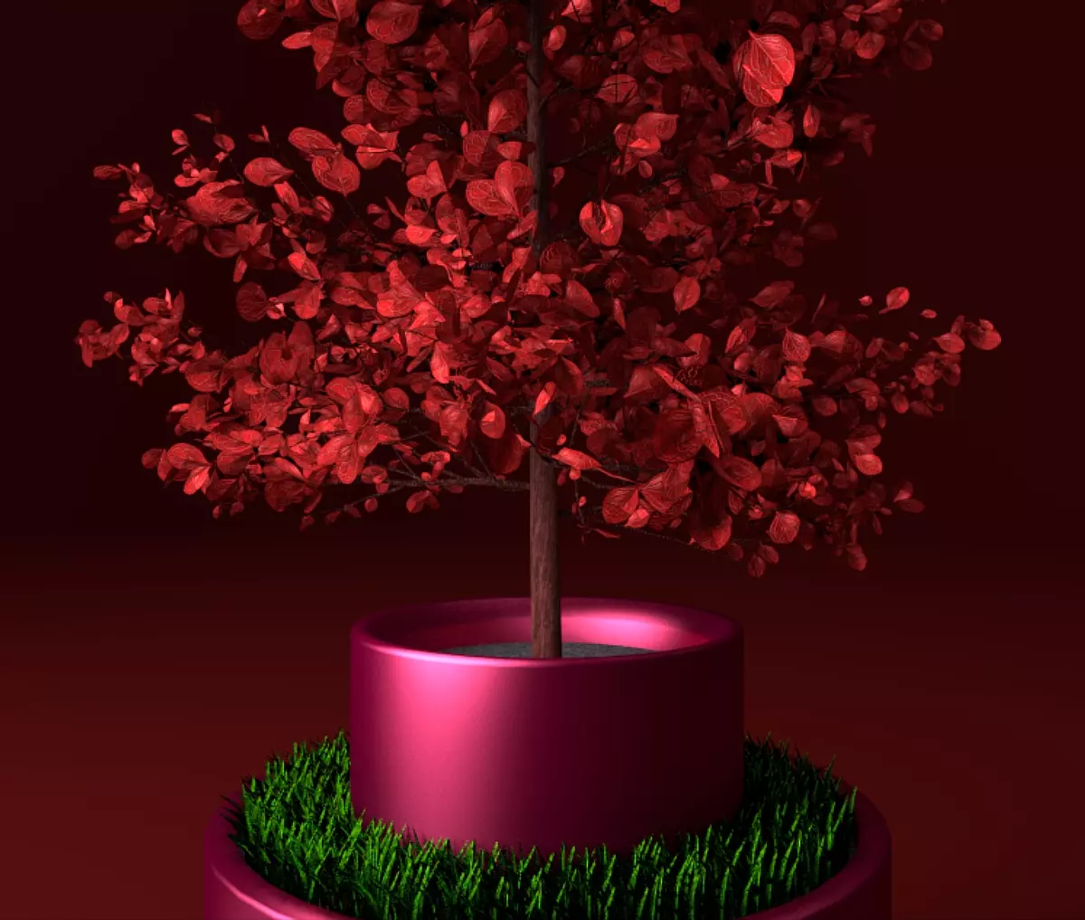 Potted young red leaved tree 1 Free low-poly 3D model_1