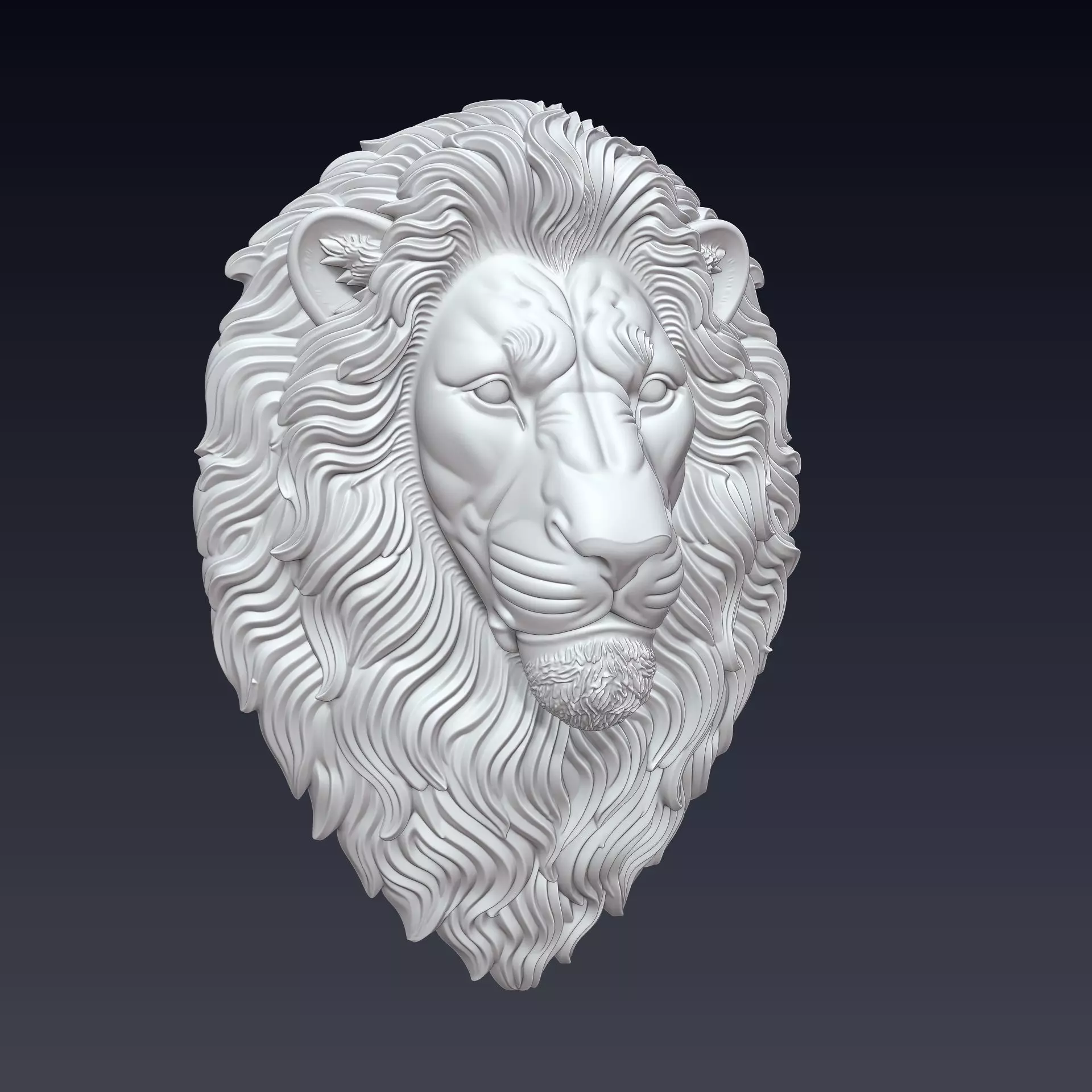 Lion Head 3D Print Model 3D print model_6
