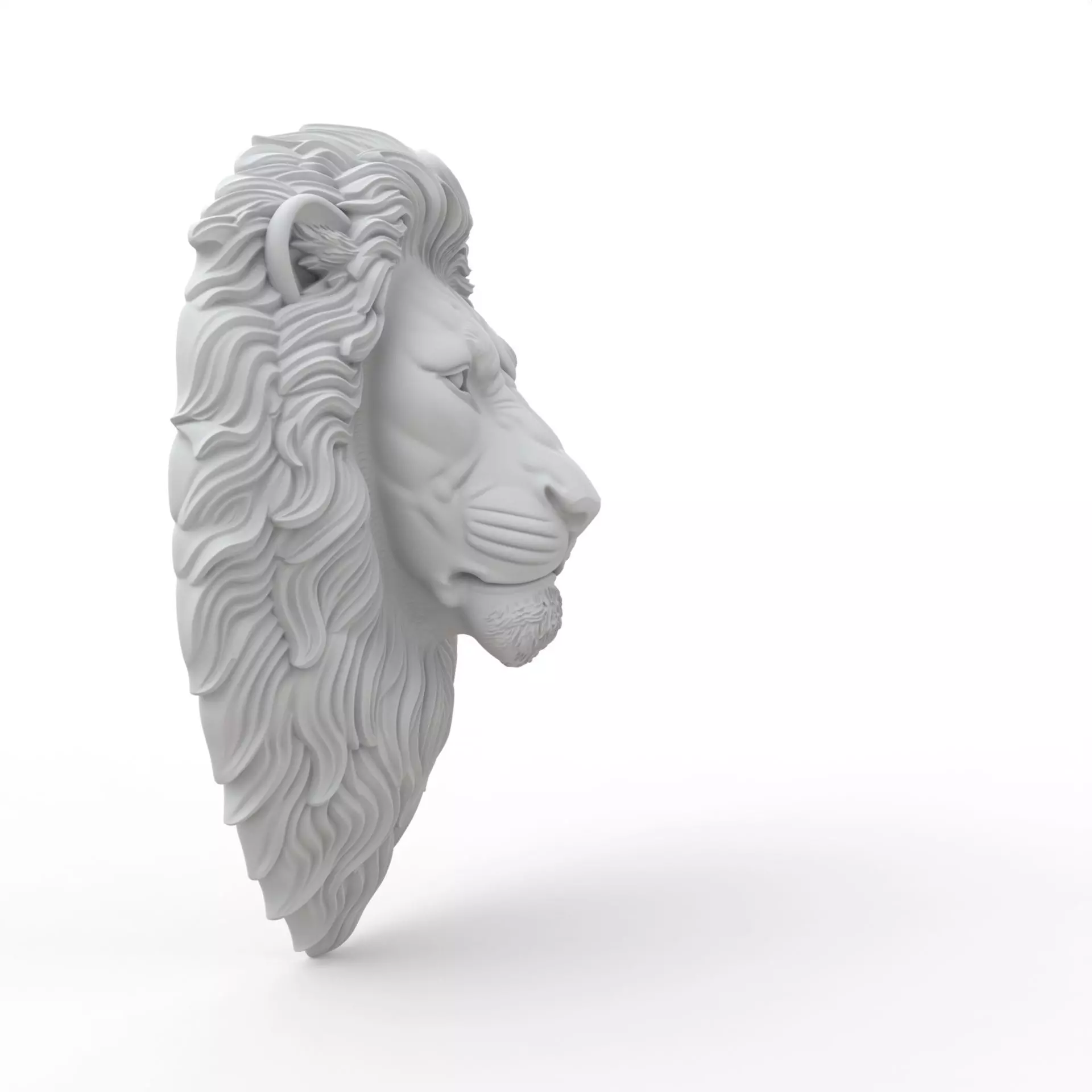 Lion Head 3D Print Model 3D print model_5