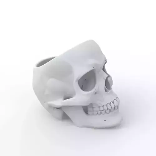 Skull Plant Pot 3D Print Model