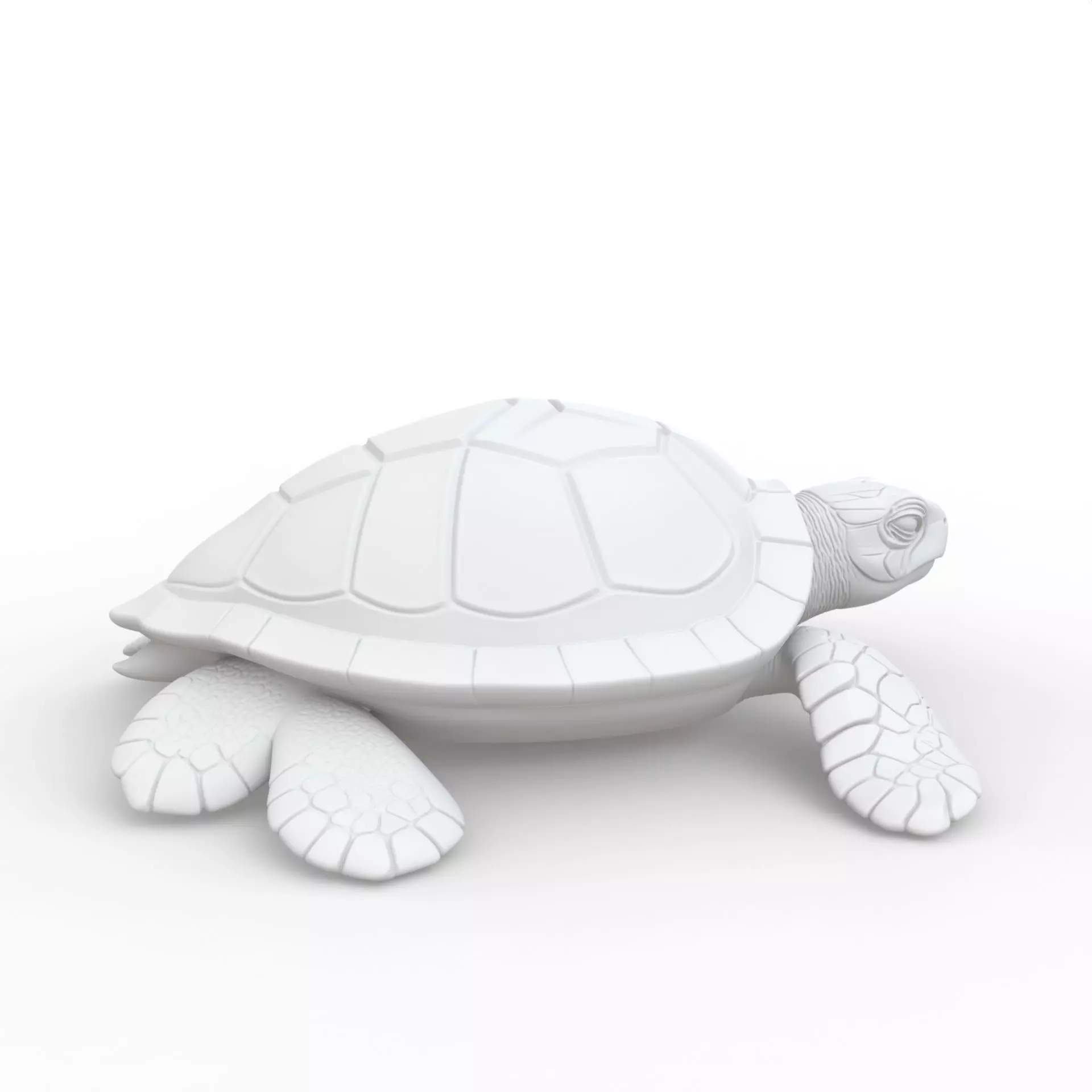 Turtle 3D Print Model 3D print model_5