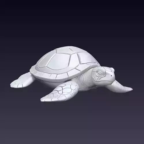 Turtle 3D Print Model