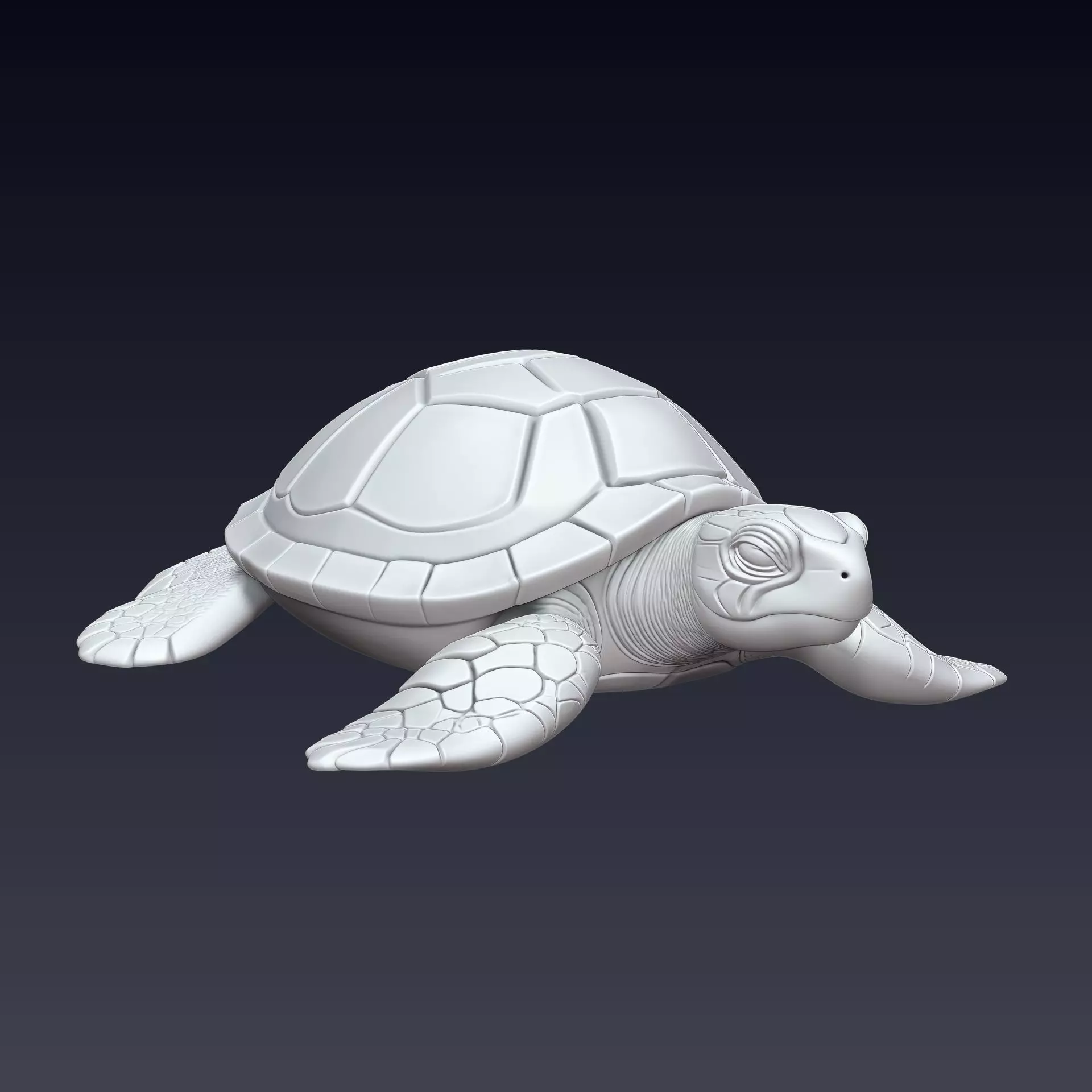 Turtle 3D Print Model 3D print model_0