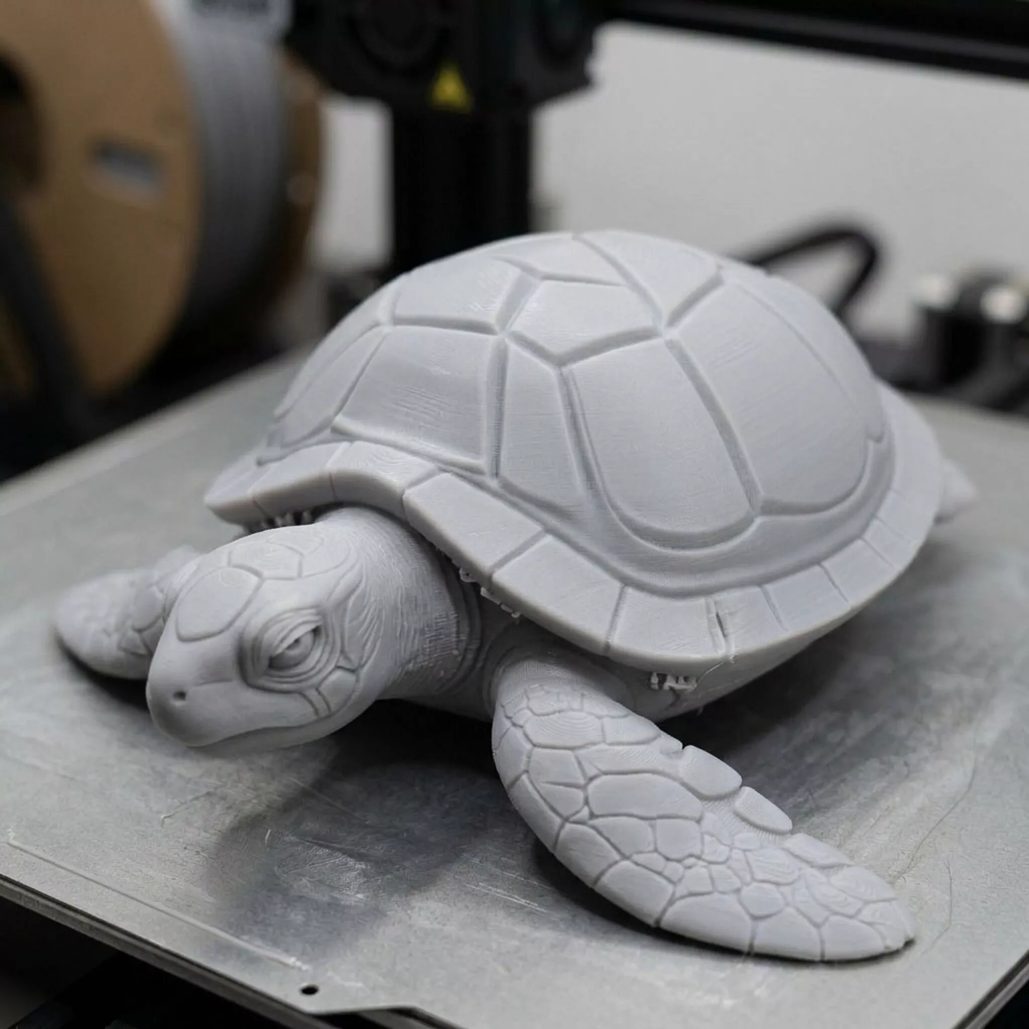 Turtle 3D Print Model 3D print model