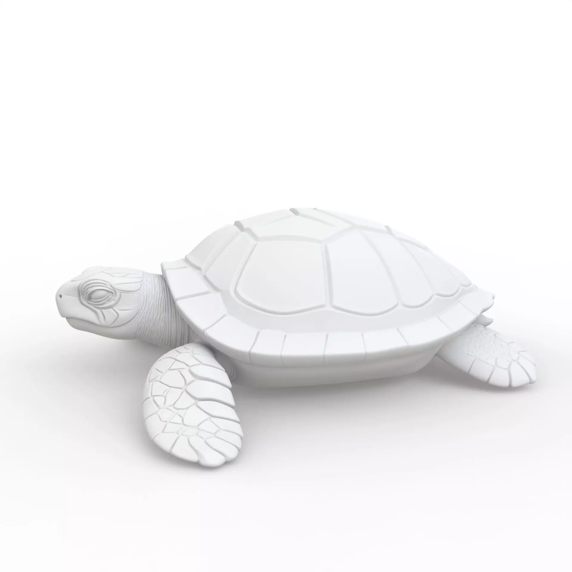 Turtle 3D Print Model 3D print model_2